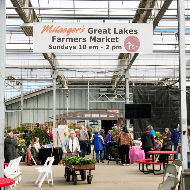 Month in Review: March 2019